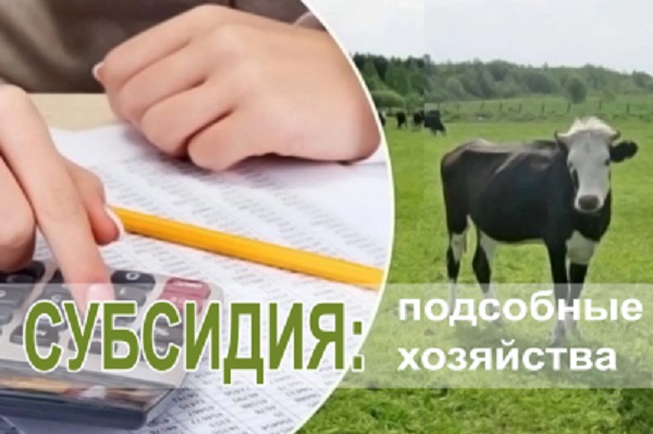 Объявление для владельцев личных подсобных хозяйств.